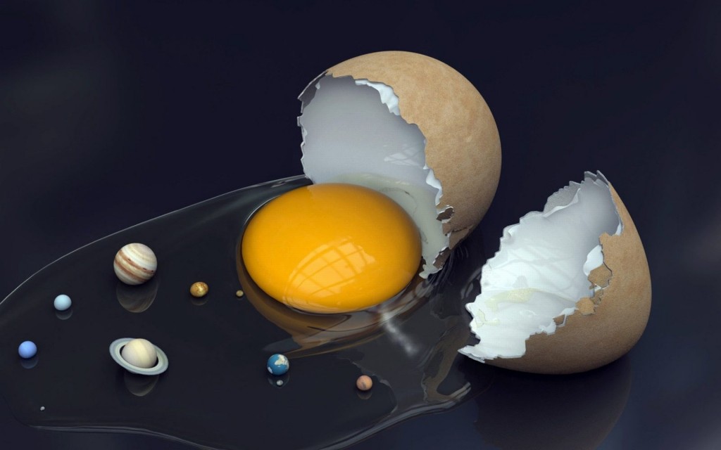 egg system