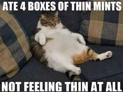 thin mints