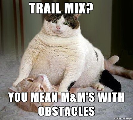 trail mix