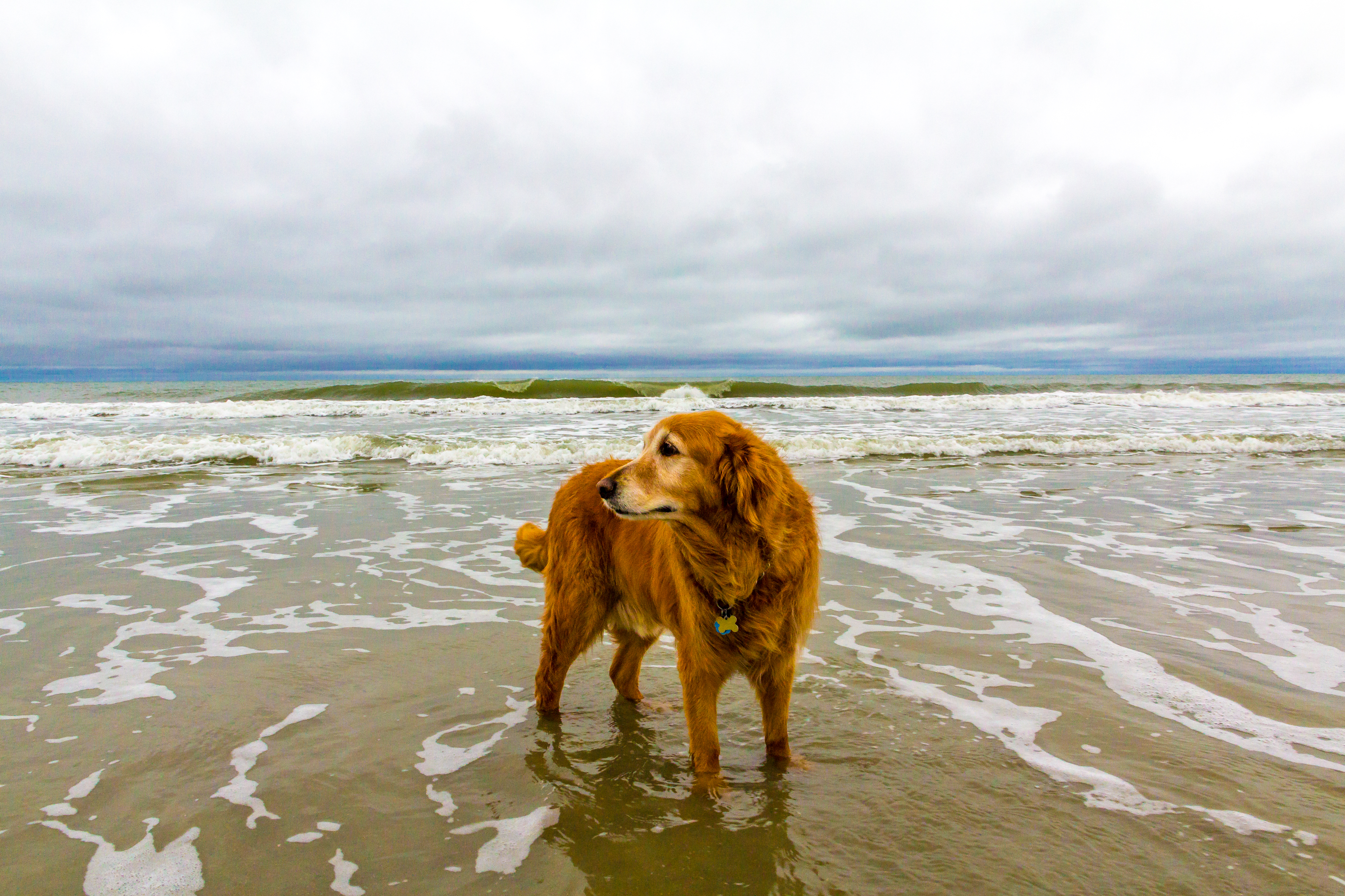 First time in the ocean in South Carolina earlier this year.