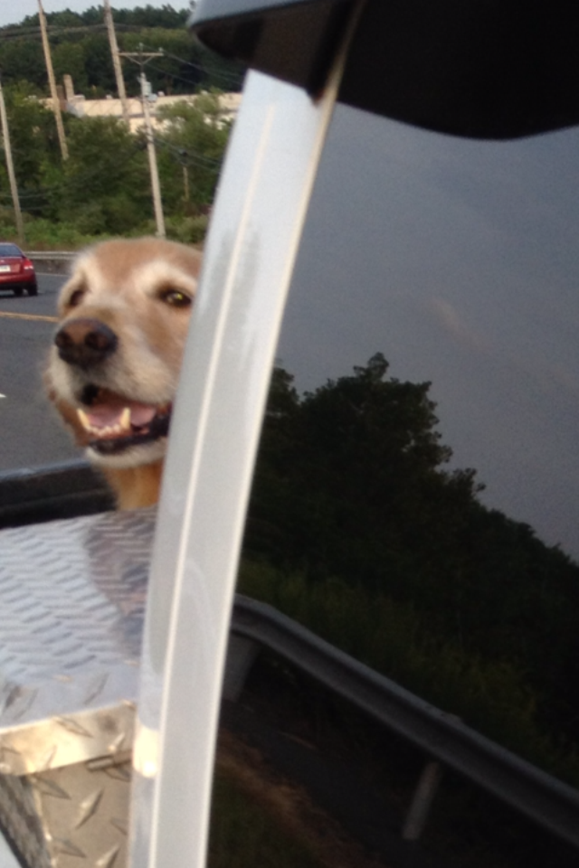 Loving the road from a pickup truck.