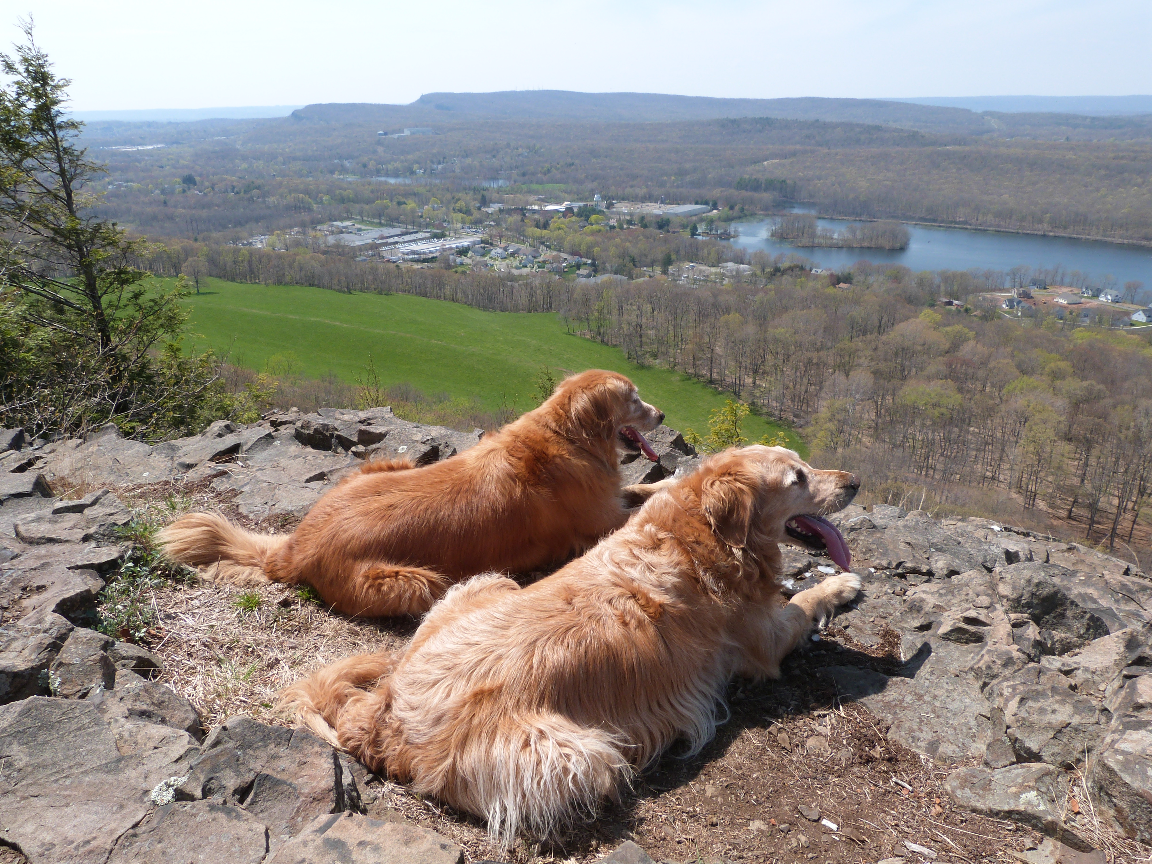 Summit of Lamentation Mountain in Connecticut.