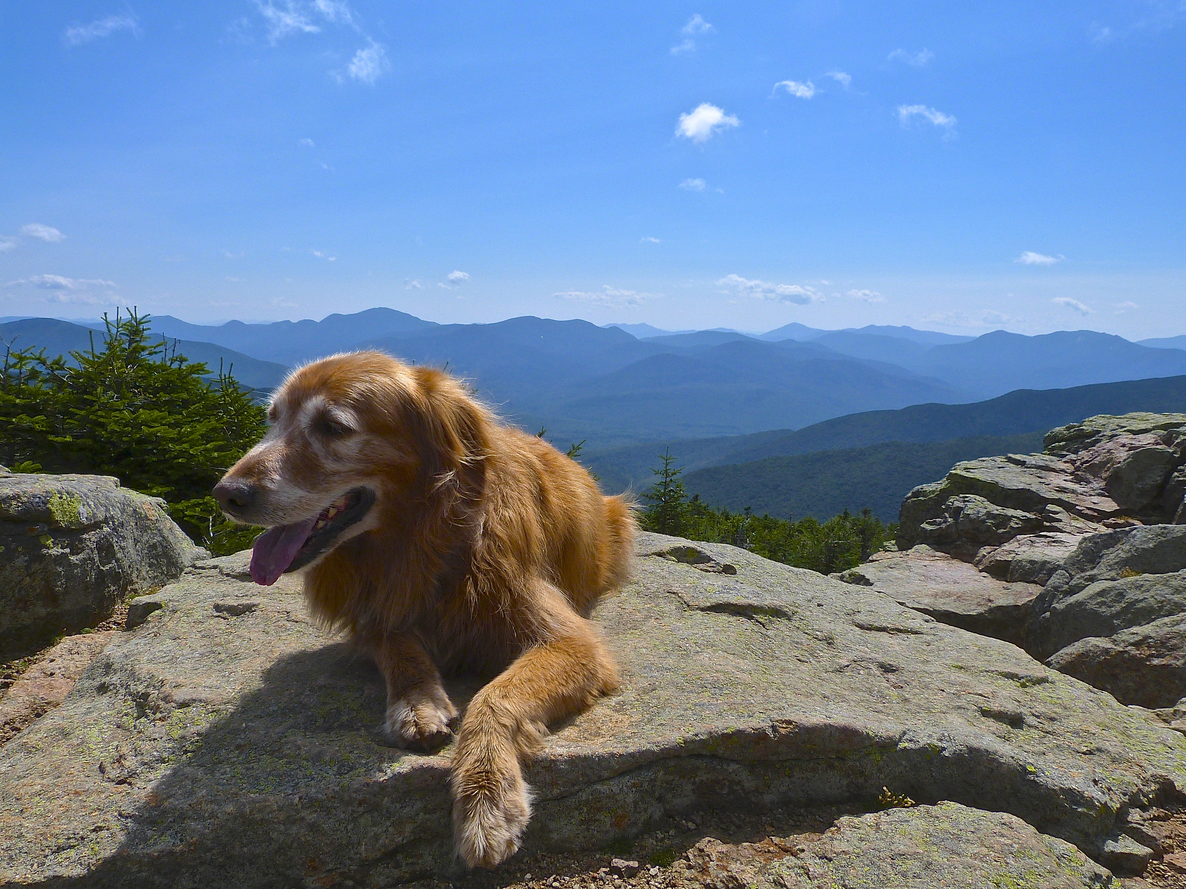 One of the summits on Franconia Ridge in New Hampshire.