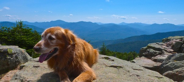 Franconia Ridge Loop